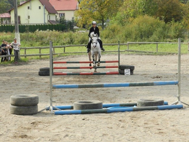 Babie Lato 2016